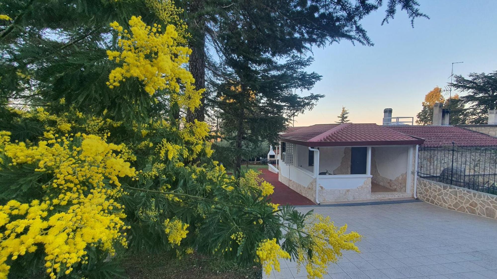 Mercadante - Luxury Holiday House Cassano delle Murge Exteriér fotografie